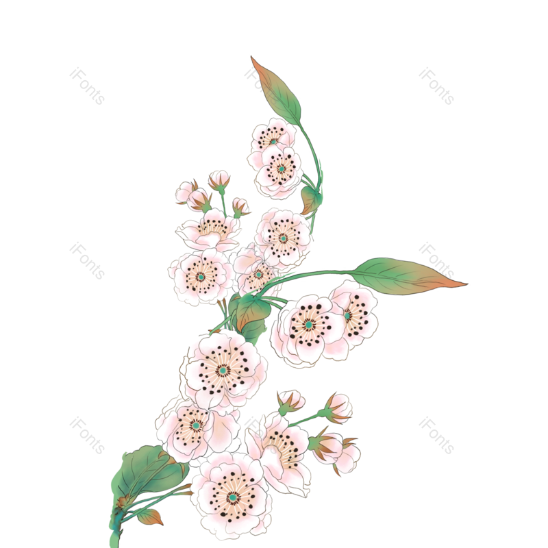 花朵图片,鲜花元素,卡通鲜花PNG,花朵素材免抠素材